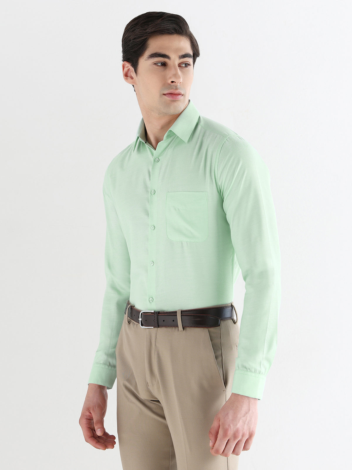 Bird Eye Textured Cotton Rich Formal Shirt in Mint
